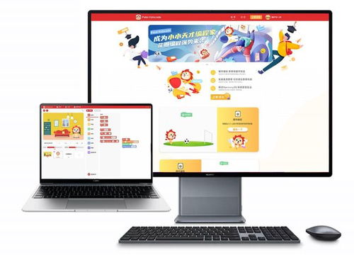 花瓣少儿编程 华为深耕教育，开启“万物可编程”的青少年启蒙时代